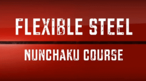 Flexible Steel Online Nunchaku Course logo.